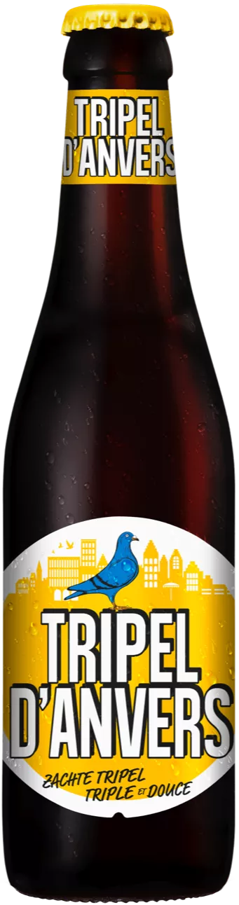 Tripel D'Anvers bottle